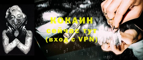 стафф Богородицк