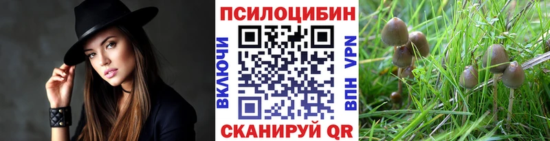 гидра ССЫЛКА  Южно-Сухокумск  Псилоцибиновые грибы Magic Shrooms 