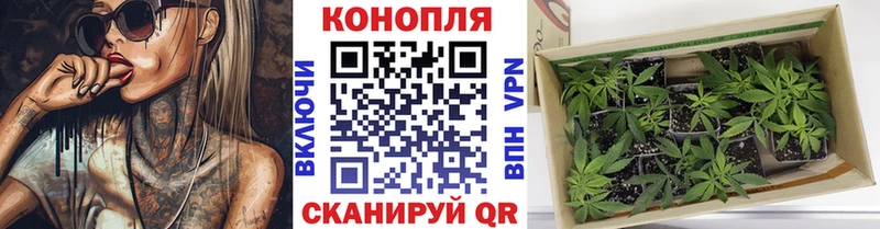 Каннабис MAZAR Южно-Сухокумск
